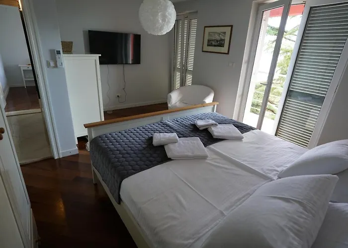 Panthera * 德拉马利