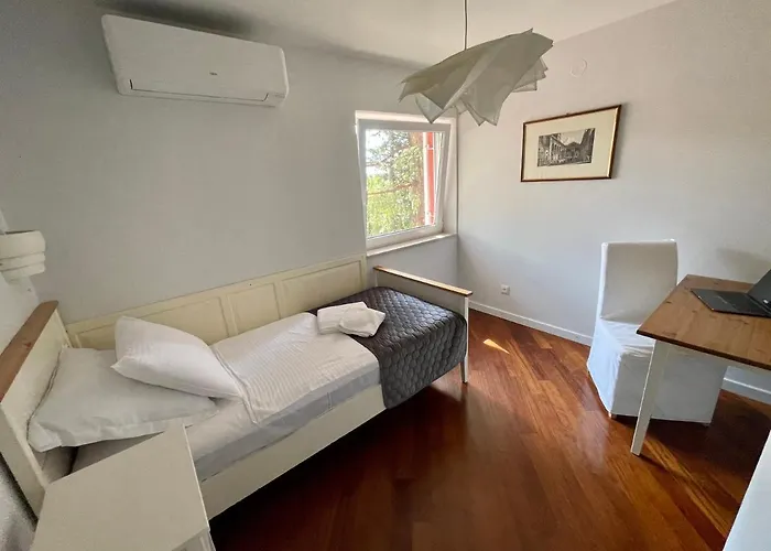 Panthera * 德拉马利