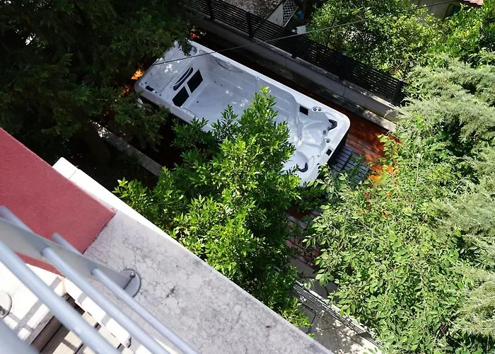 Panthera 德拉马利